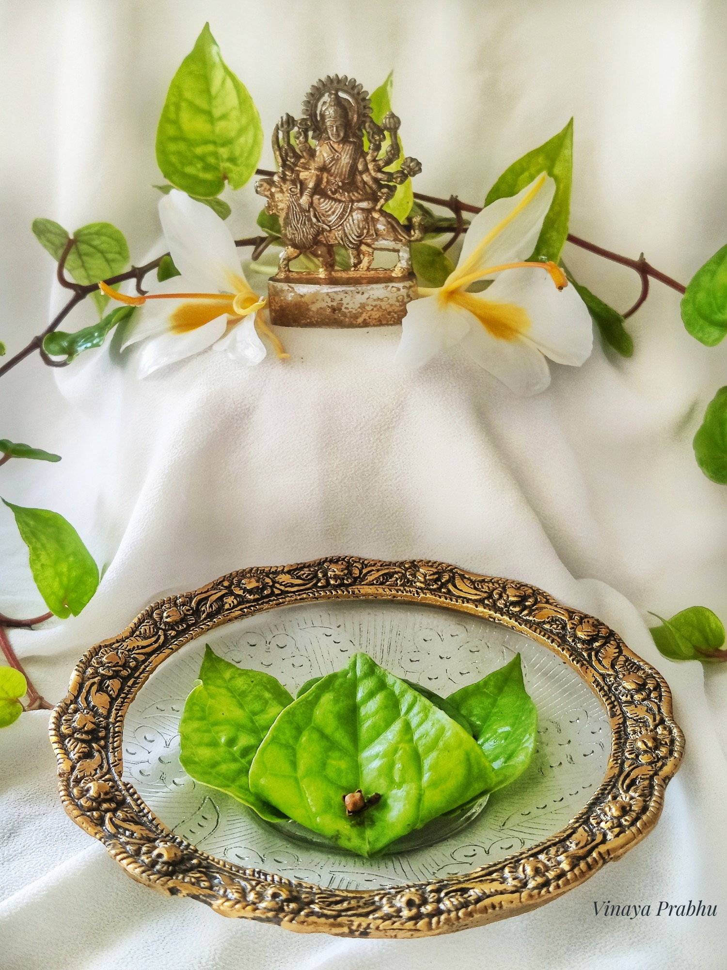 Home made Paan Beeda – Vinaya's Culinary Delights